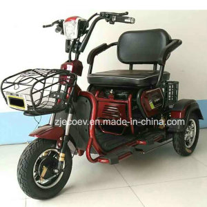 Leisure for Passenger and Cargo Electric Tricycle